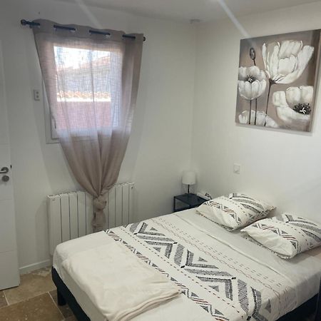 Bienvenue En Beaujolais Apartment Saint-Jean-d'Ardieres Bagian luar foto