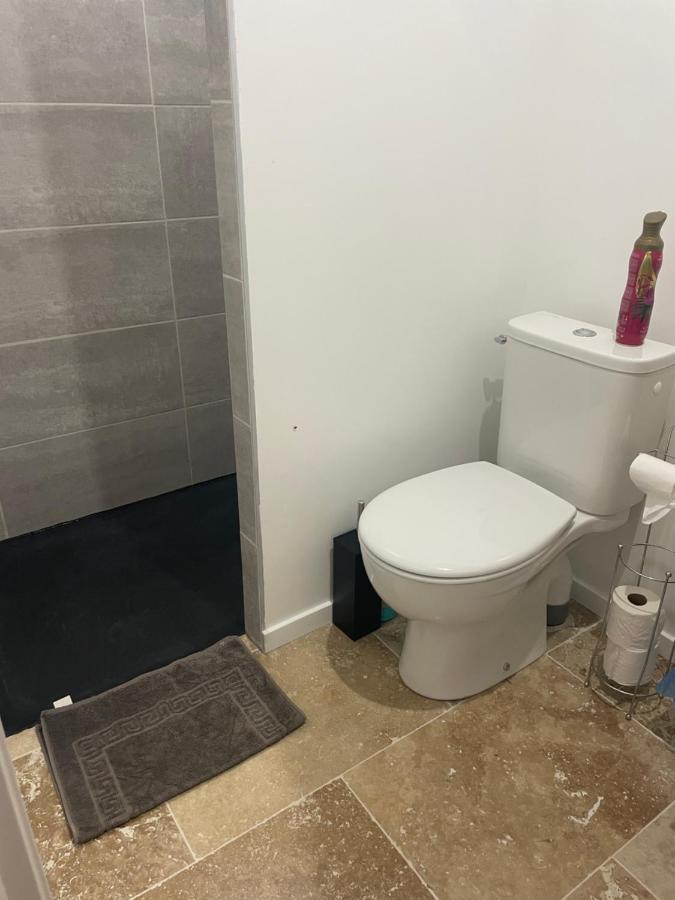 Bienvenue En Beaujolais Apartment Saint-Jean-d'Ardieres Bagian luar foto
