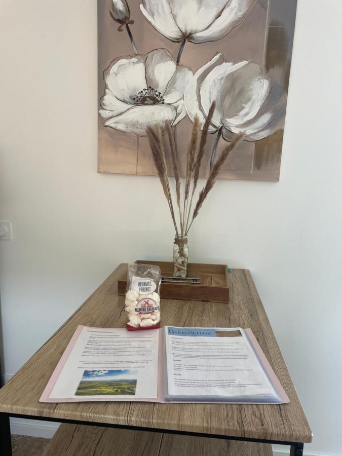 Bienvenue En Beaujolais Apartment Saint-Jean-d'Ardieres Bagian luar foto