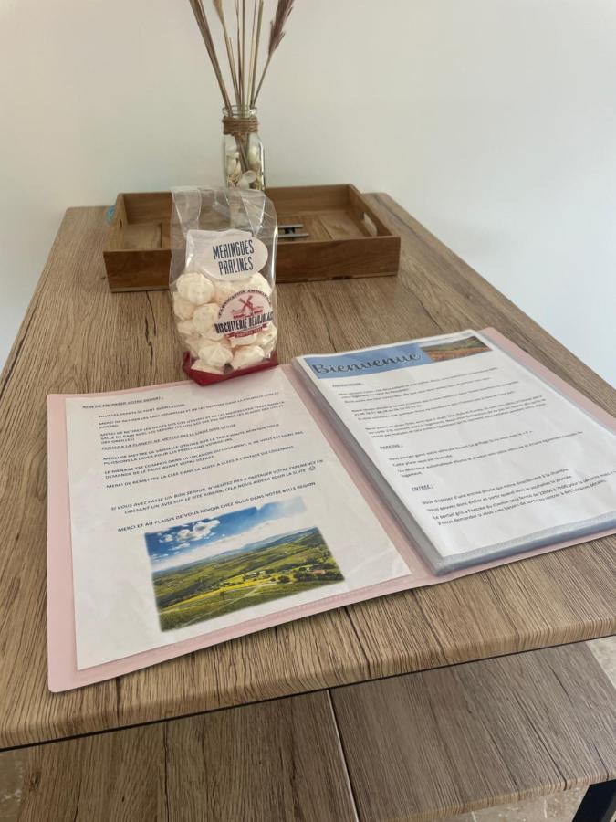 Bienvenue En Beaujolais Apartment Saint-Jean-d'Ardieres Bagian luar foto