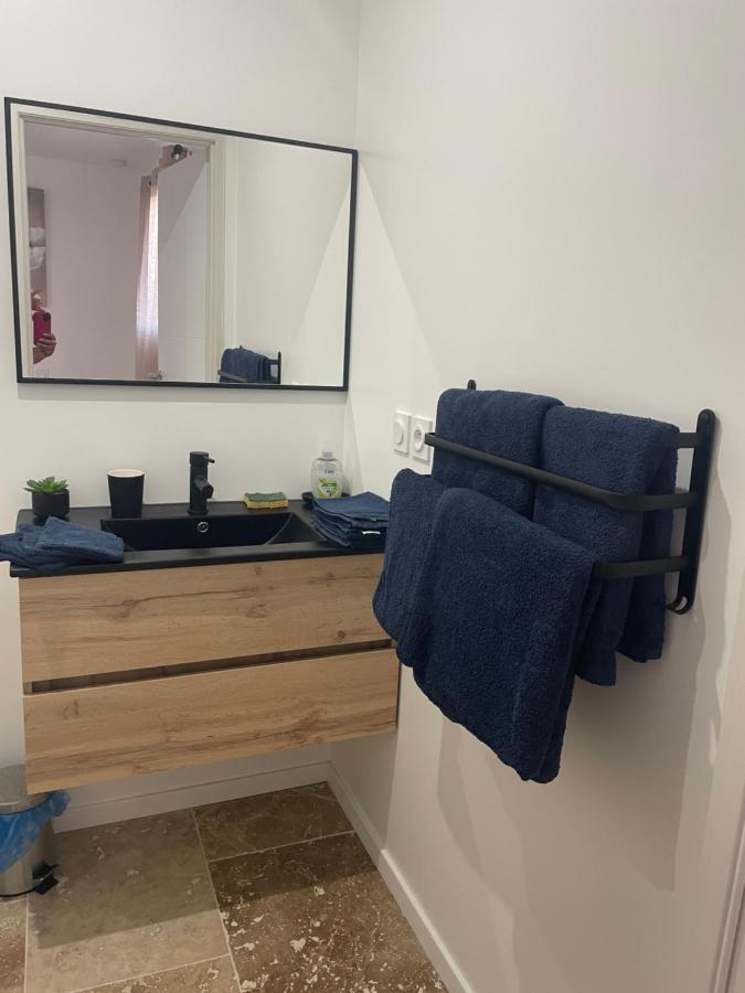 Bienvenue En Beaujolais Apartment Saint-Jean-d'Ardieres Bagian luar foto